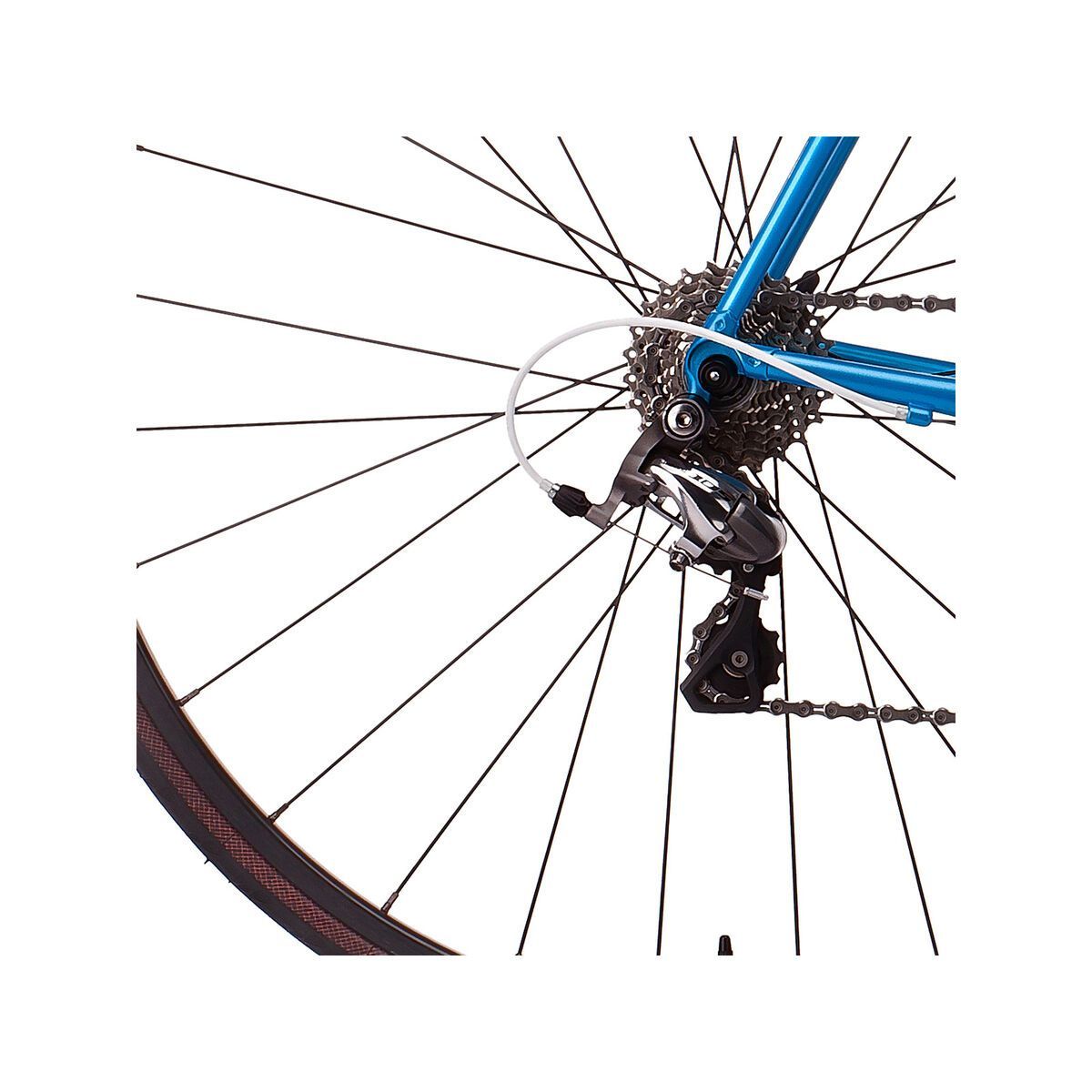 Creme Cycles Echo Tange, raceblue - Bild 4