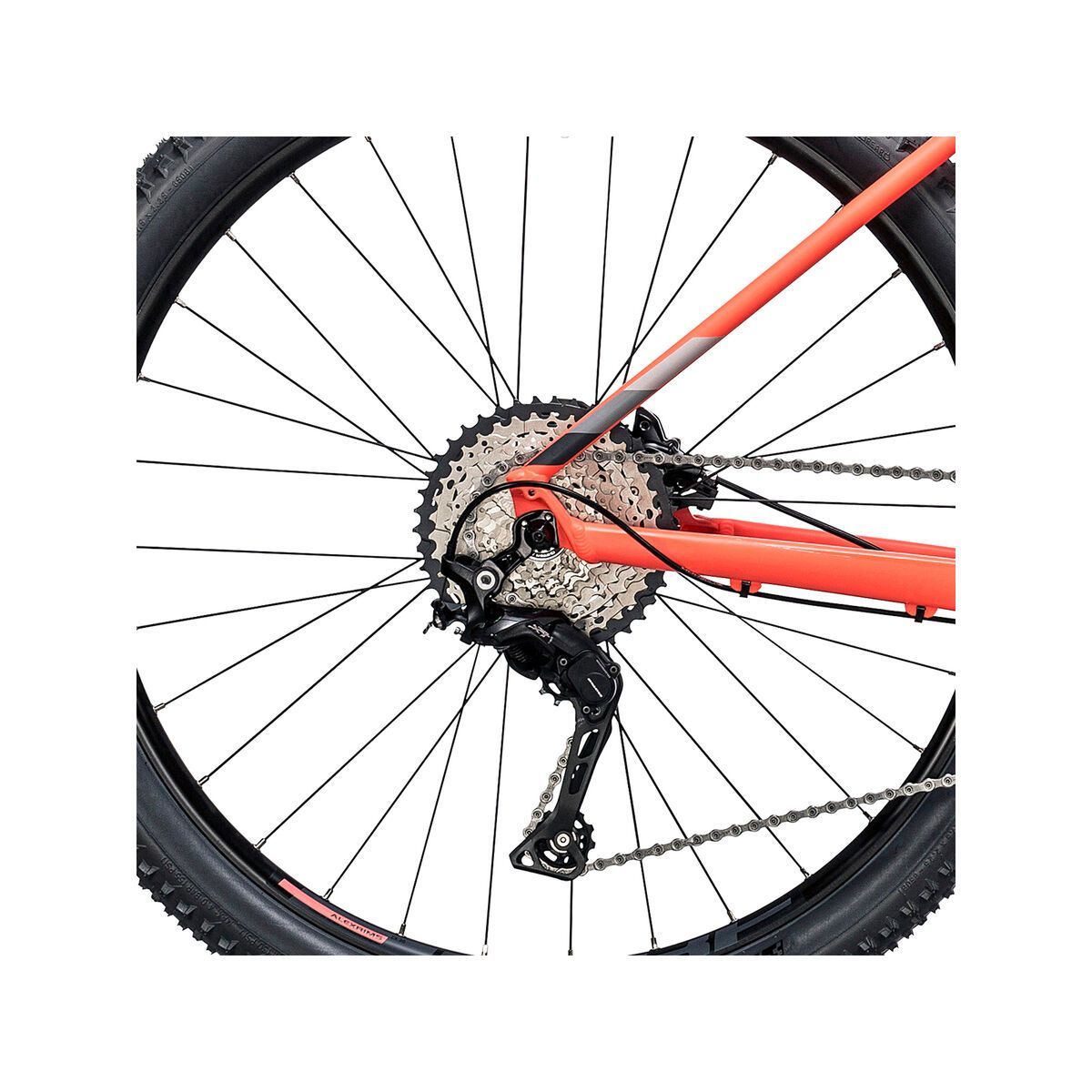 Cube Access WLS SL 29, coral´n´grey - Bild 4