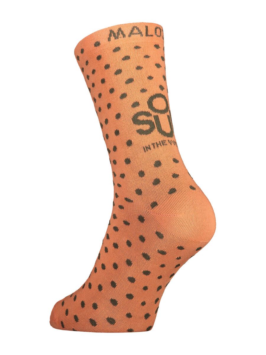 Maloja CherrytreeM., glowing alps - Bild 1