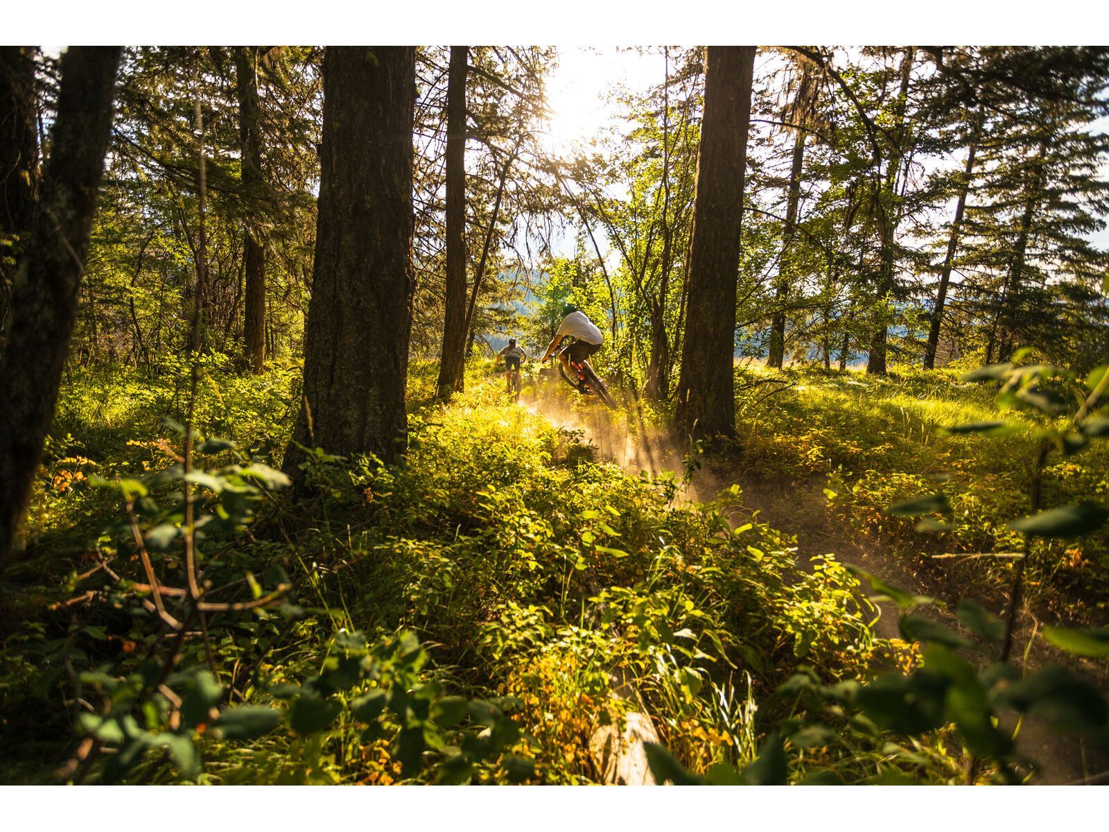 Santa Cruz 5010 C / GX AXS / RSV / MX, matte nickel - Bild 15