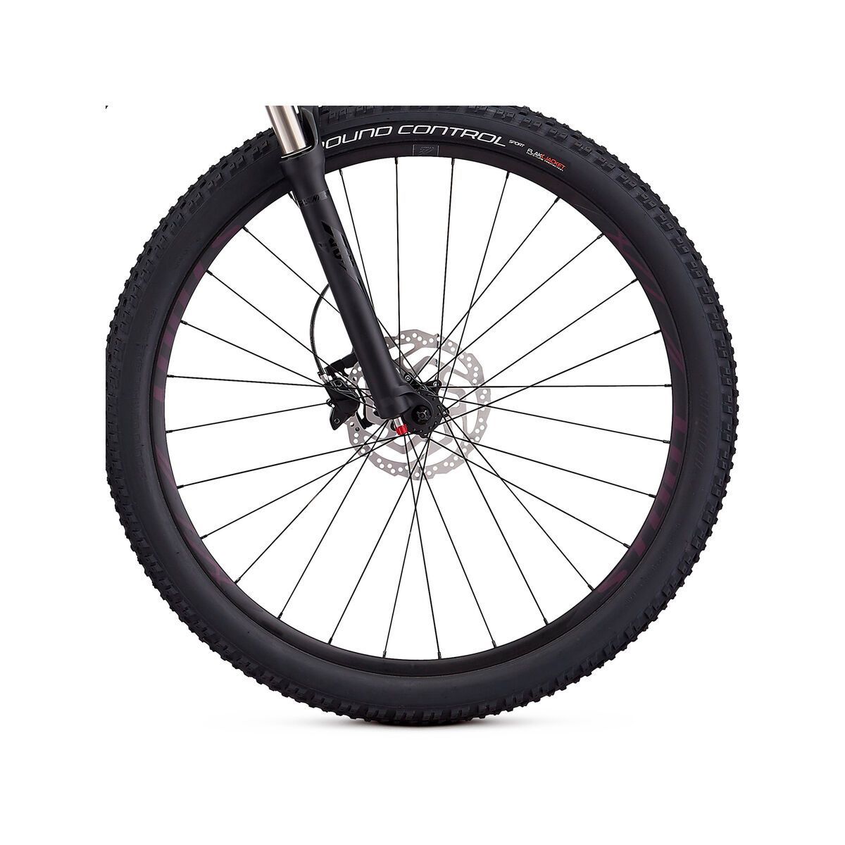 Specialized Women's Rockhopper Expert, satin gloss cast berry/battleship - Bild 4