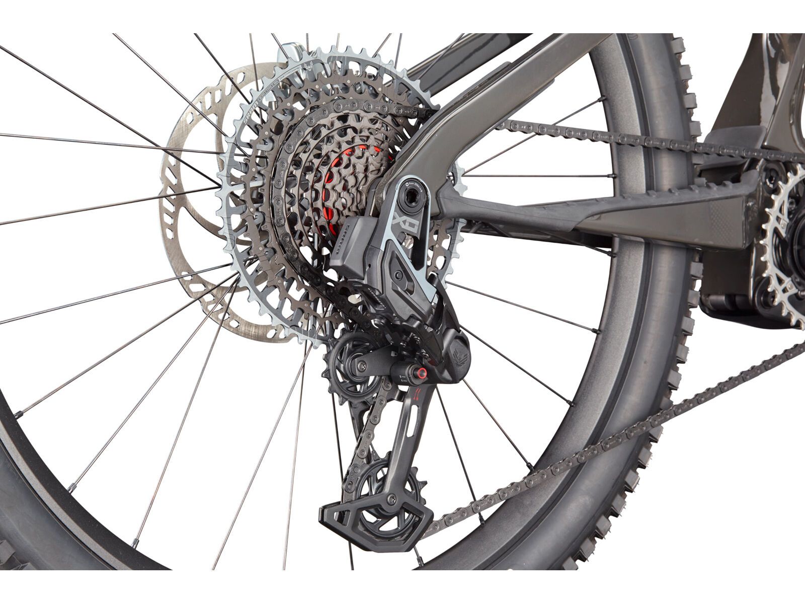 Cannondale Moterra Carbon SL 1, raw - Bild 5