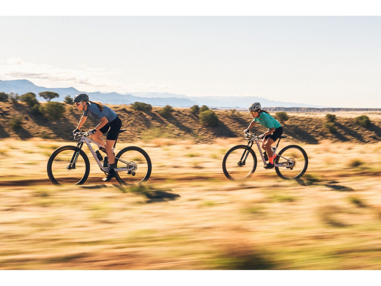 Juliana Wilder C / R / TR / 29, purple sweetness / lavender - Bild 21