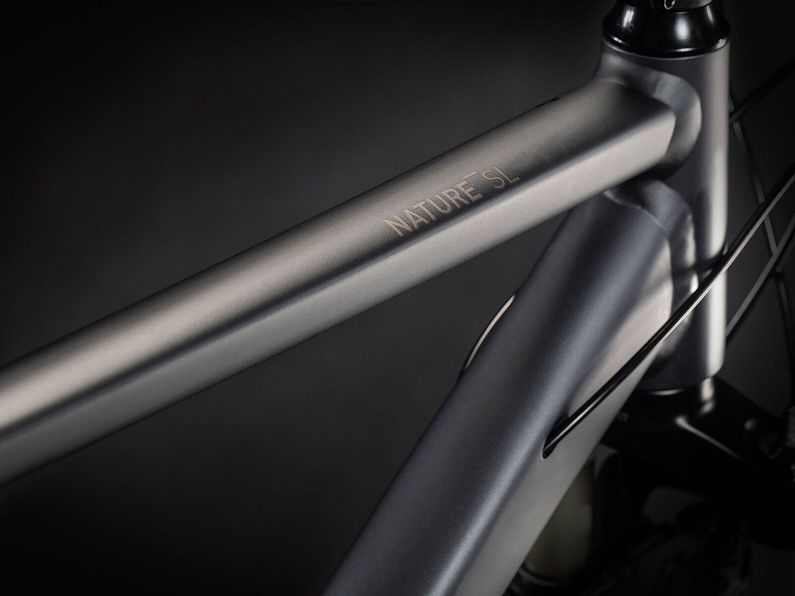 Cube Nature SL, iridium´n´teak - Bild 2