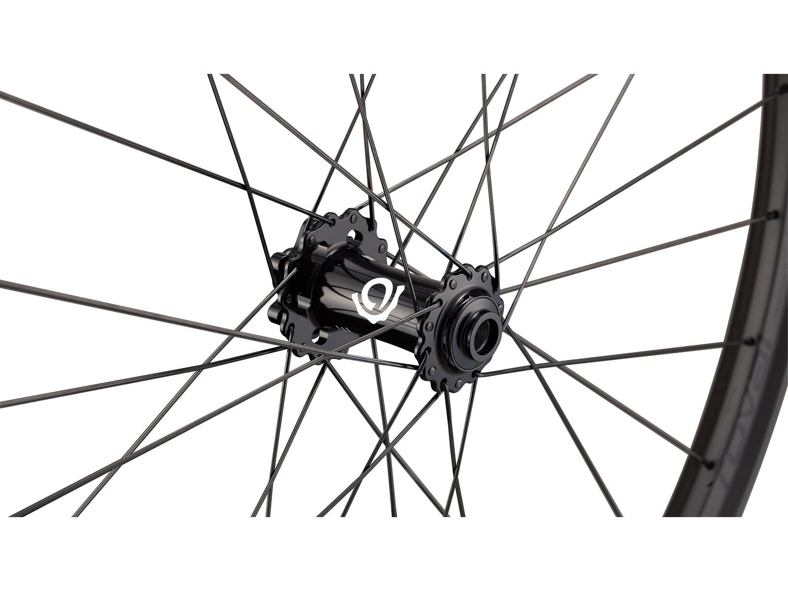 Specialized Roval Traverse SL II Hydra2 - 29 Zoll, satin carbon/satin black - Bild 3