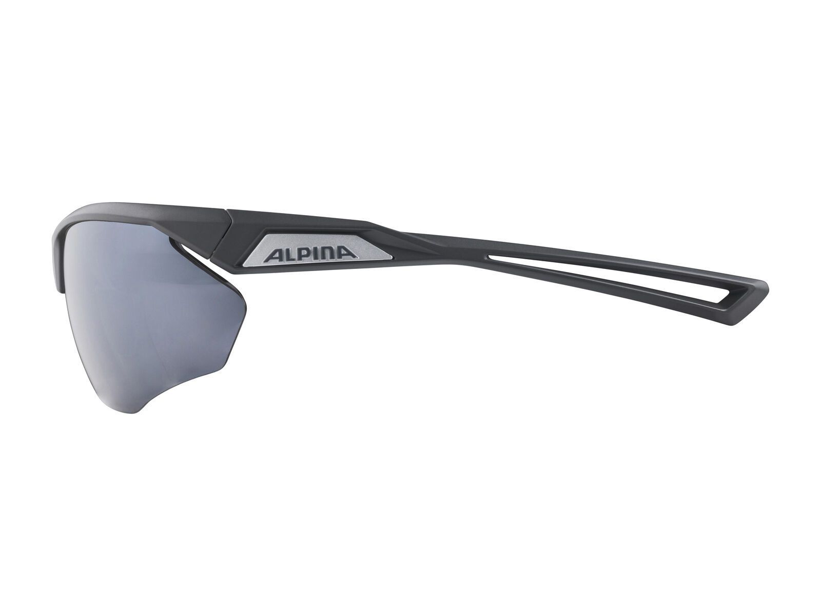 Alpina Nylos HR, Silver Mirror / midnight-grey matt - Bild 2