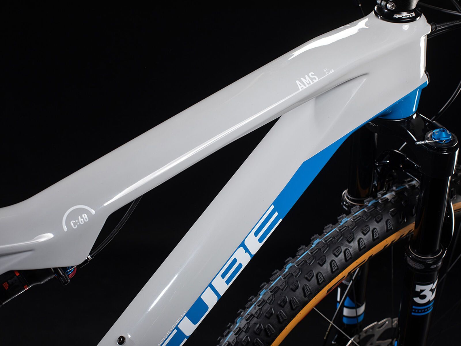 Cube AMS 100 C:68 SL 29, teamline - Bild 8