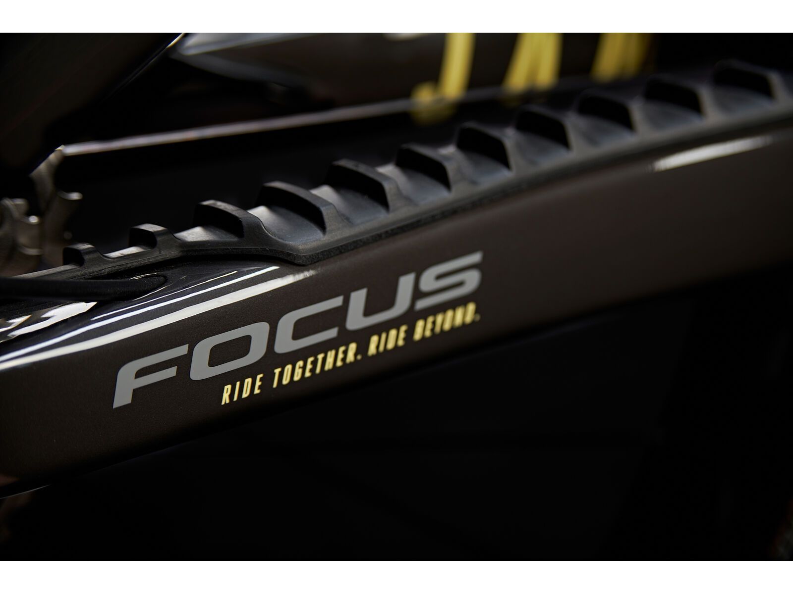 Focus Jam² SL 8.8, lightgrey / carbon raw - Bild 9