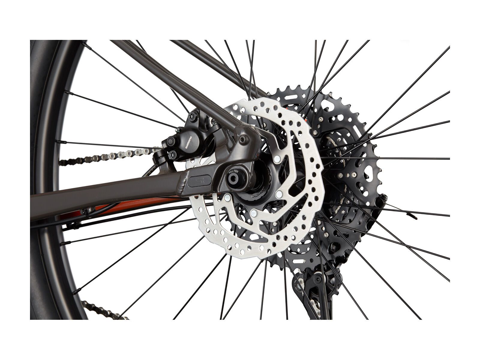 Cannondale Trail SL 4, orange - Bild 6