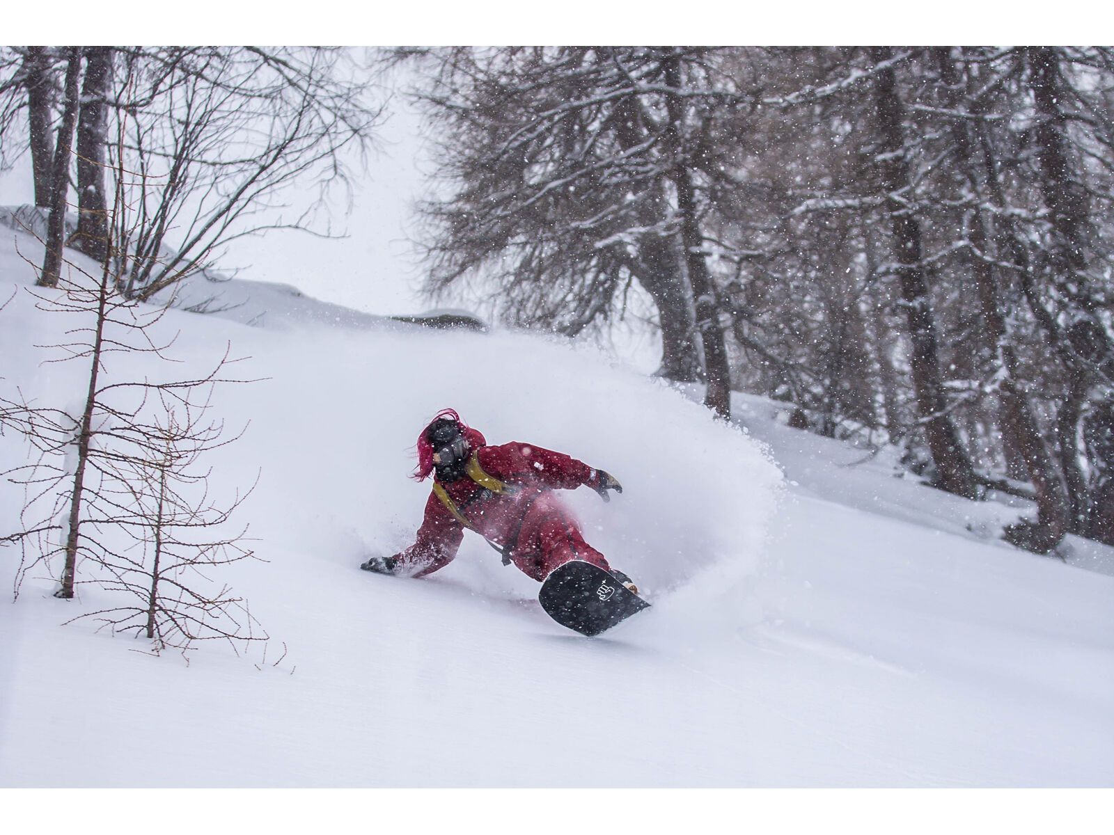 Bataleon Cruiser+ - Bild 11