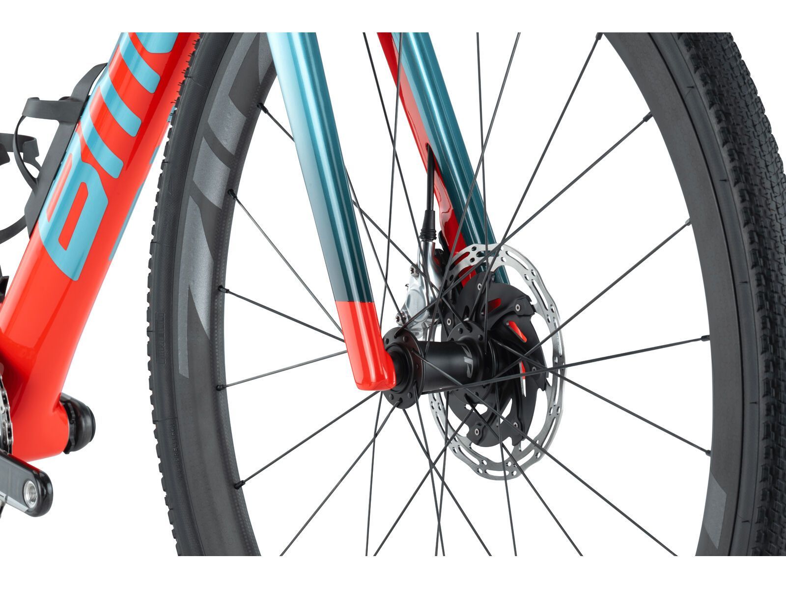 BMC Kaius 01 LTD, peacock spider - Bild 5