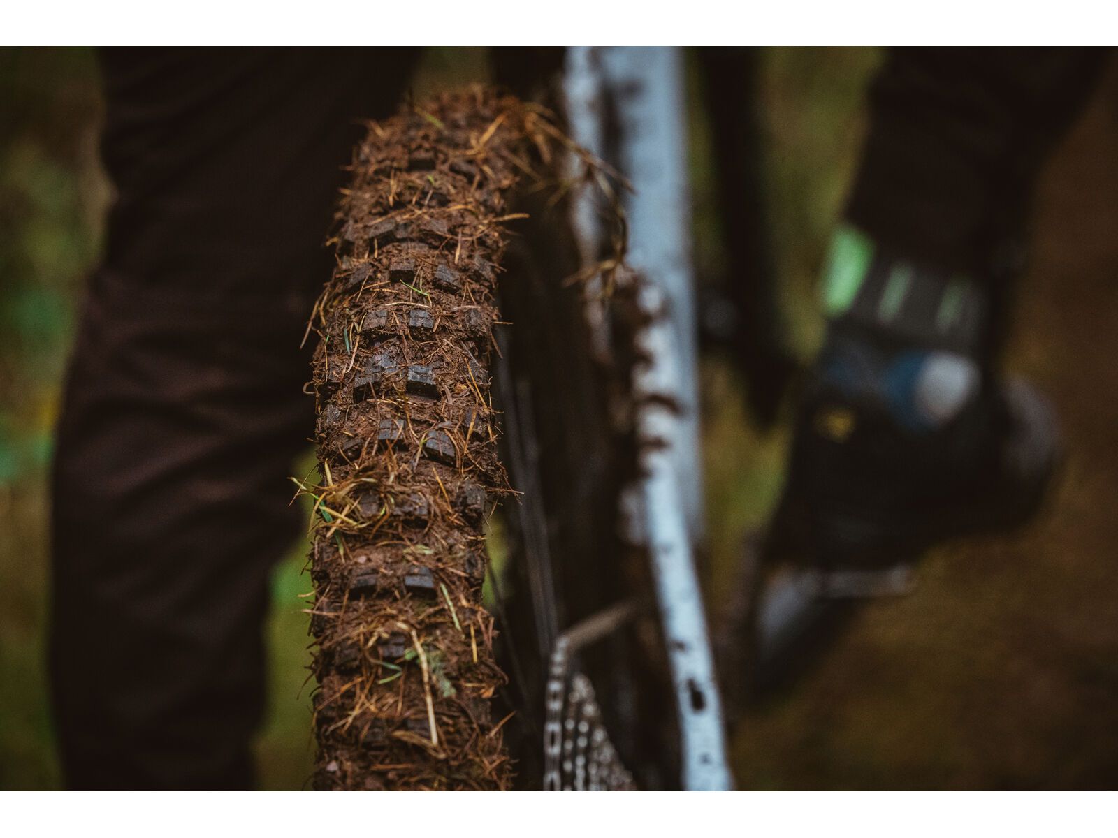 Schwalbe Shredda Rear Radial Addix Ultra Soft Gravity Pro - 29 Zoll - Bild 9