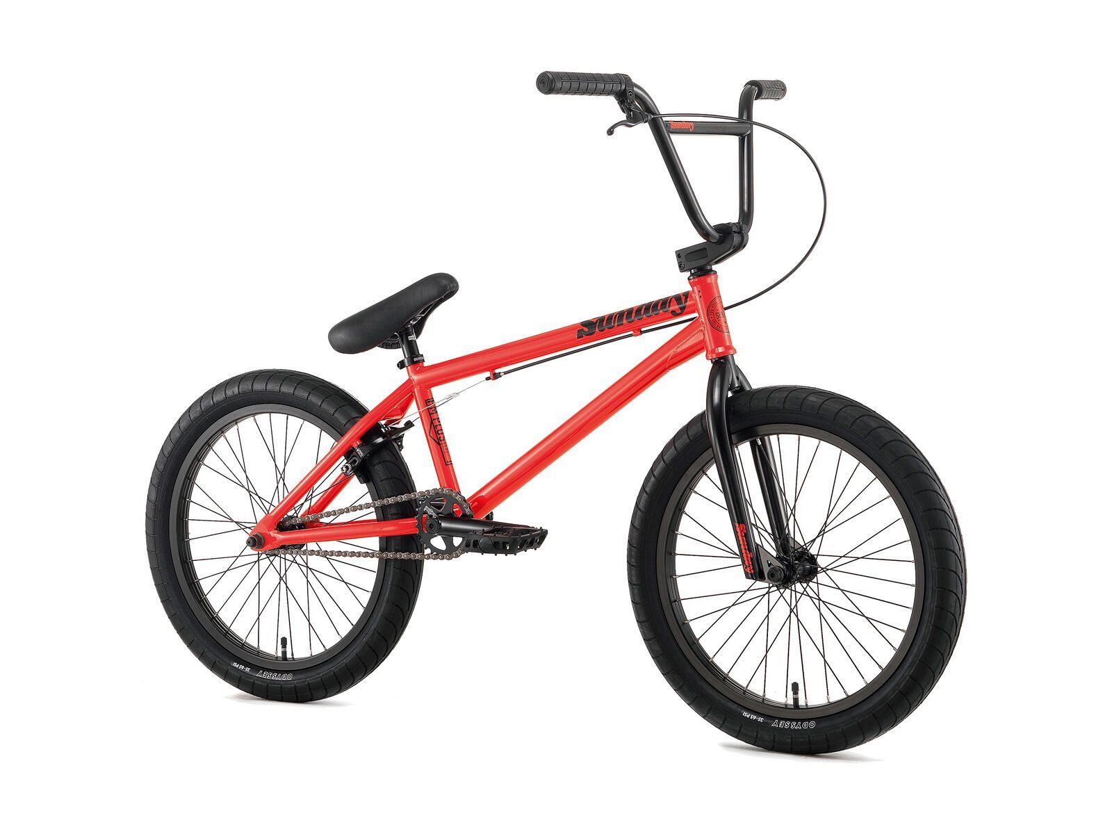 Sunday AM PLUS, Aaron Ross - Bild 1