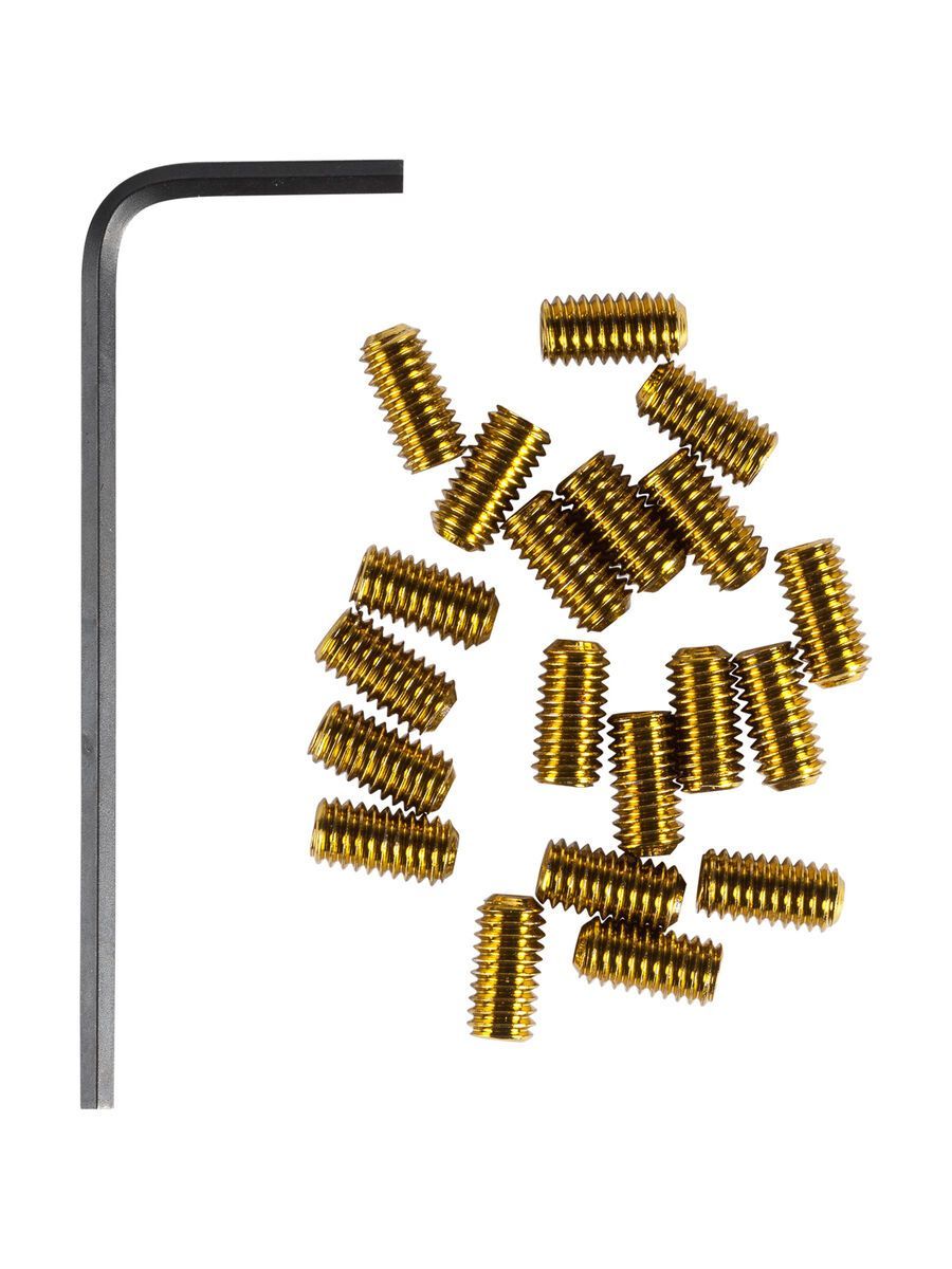 Cube RFR Pedal-Pins Slug, gold - Bild 1