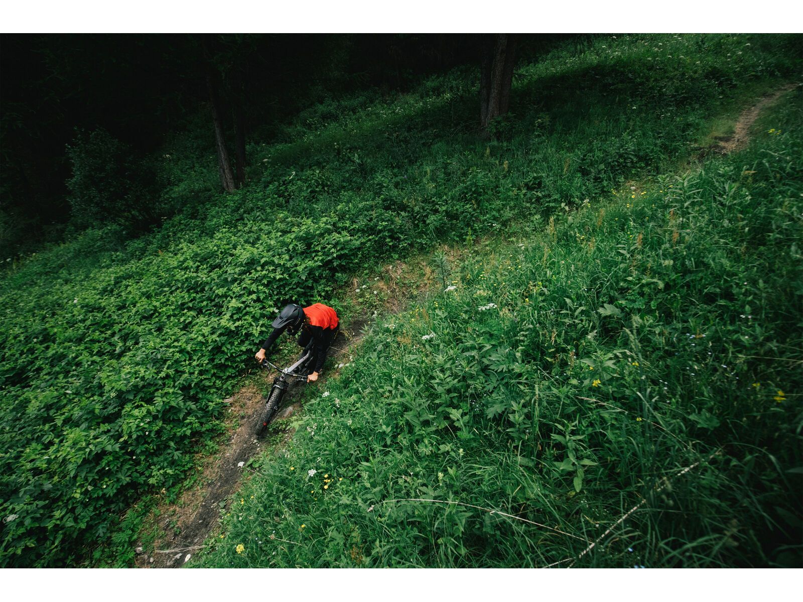 Santa Cruz Nomad C / R / MX, matte carbon - Bild 15