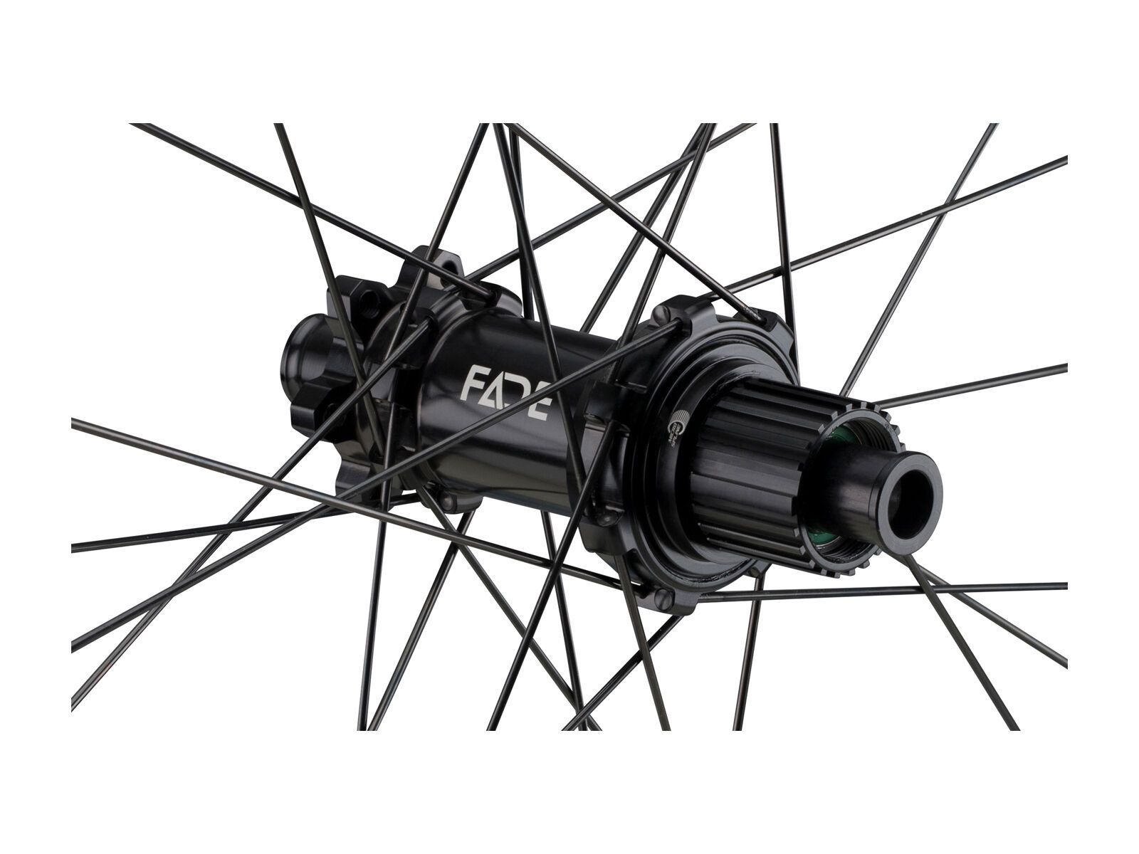 Newmen Evolution SL E.G. 35 - 29 / 12x148 mm Boost / Shimano Micro Spline, black - Bild 3