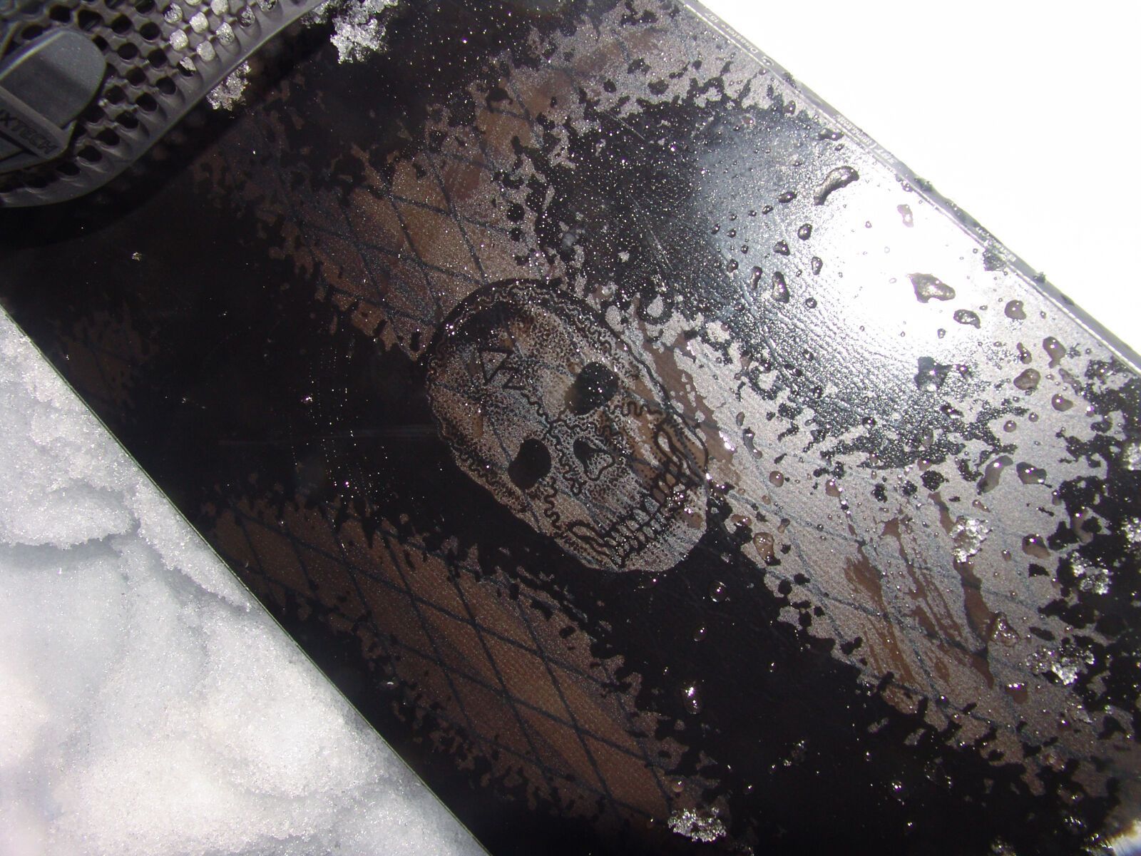 Bataleon Disaster+ - Bild 11