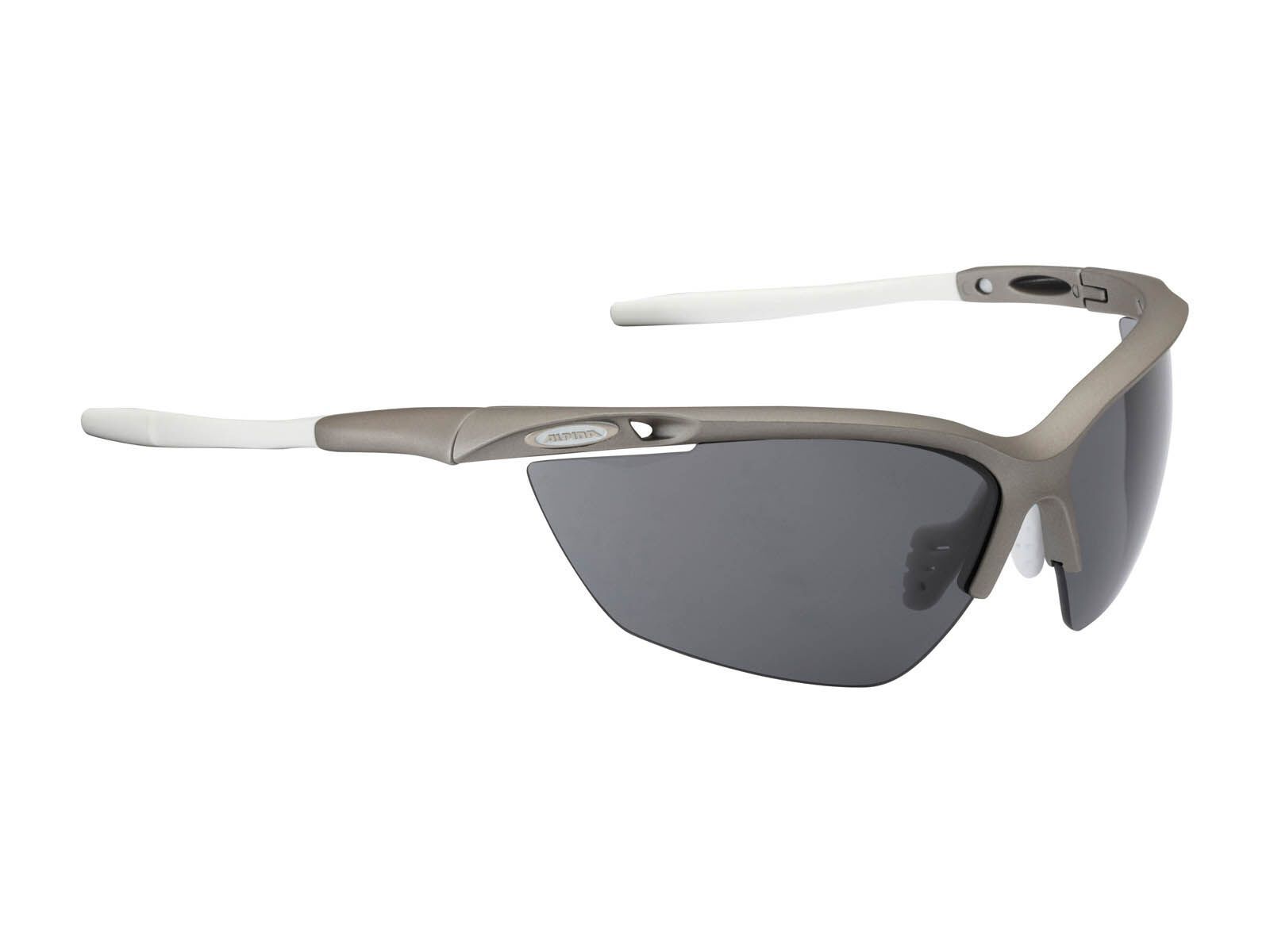 Alpina Guard 2.0, tin matt-white/Lens: ceramic black - Bild 1