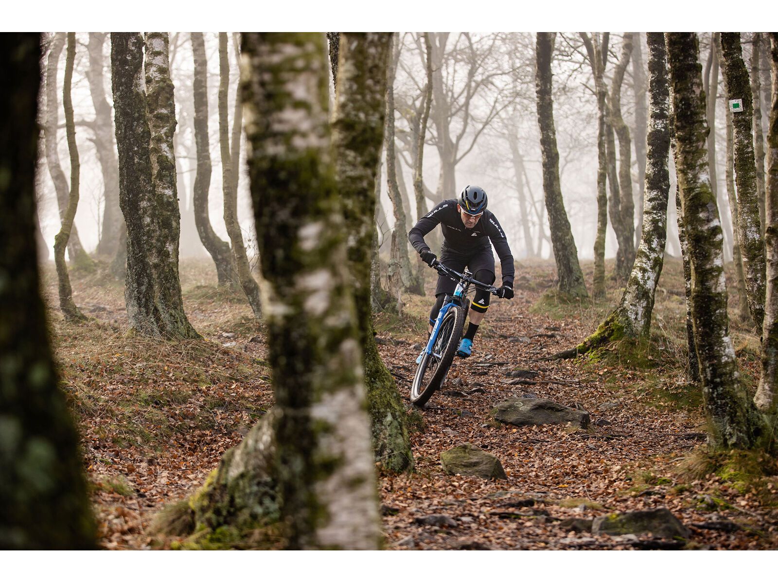 Sigma ROX 4.0, white - Bild 11