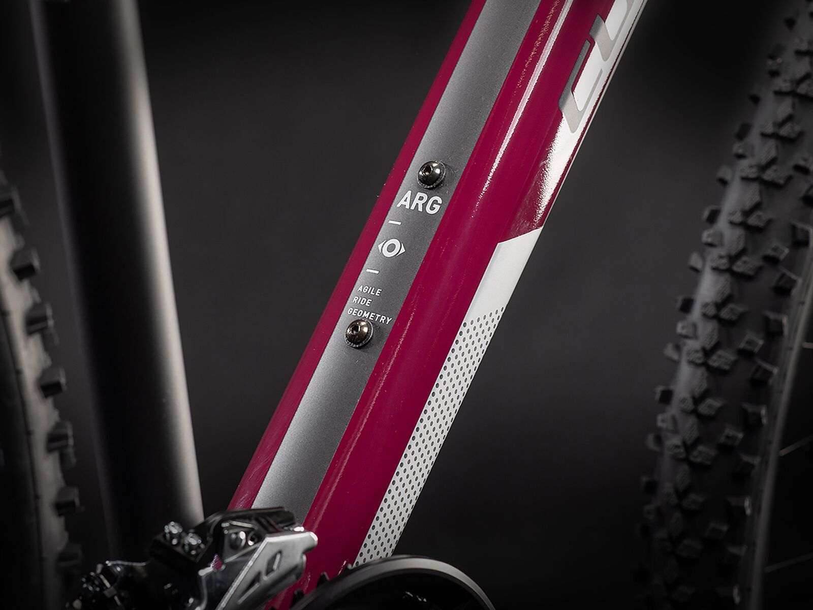 Cube Access WS 29, grey´n´berry - Bild 3