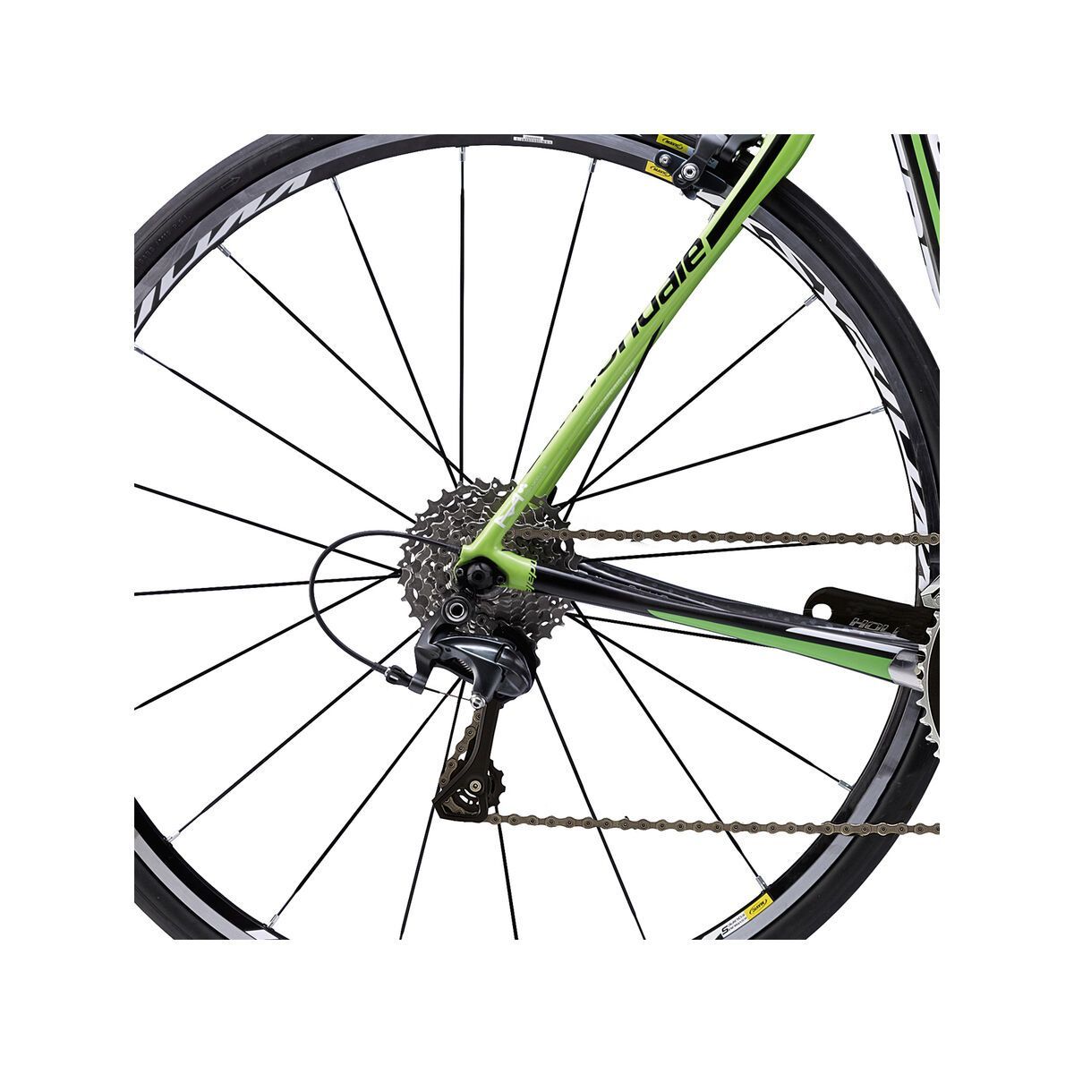 Cannondale Synapse Carbon Hi-Mod Ultegra, berserker green with magnesium white and jet black, gloss - Bild 4