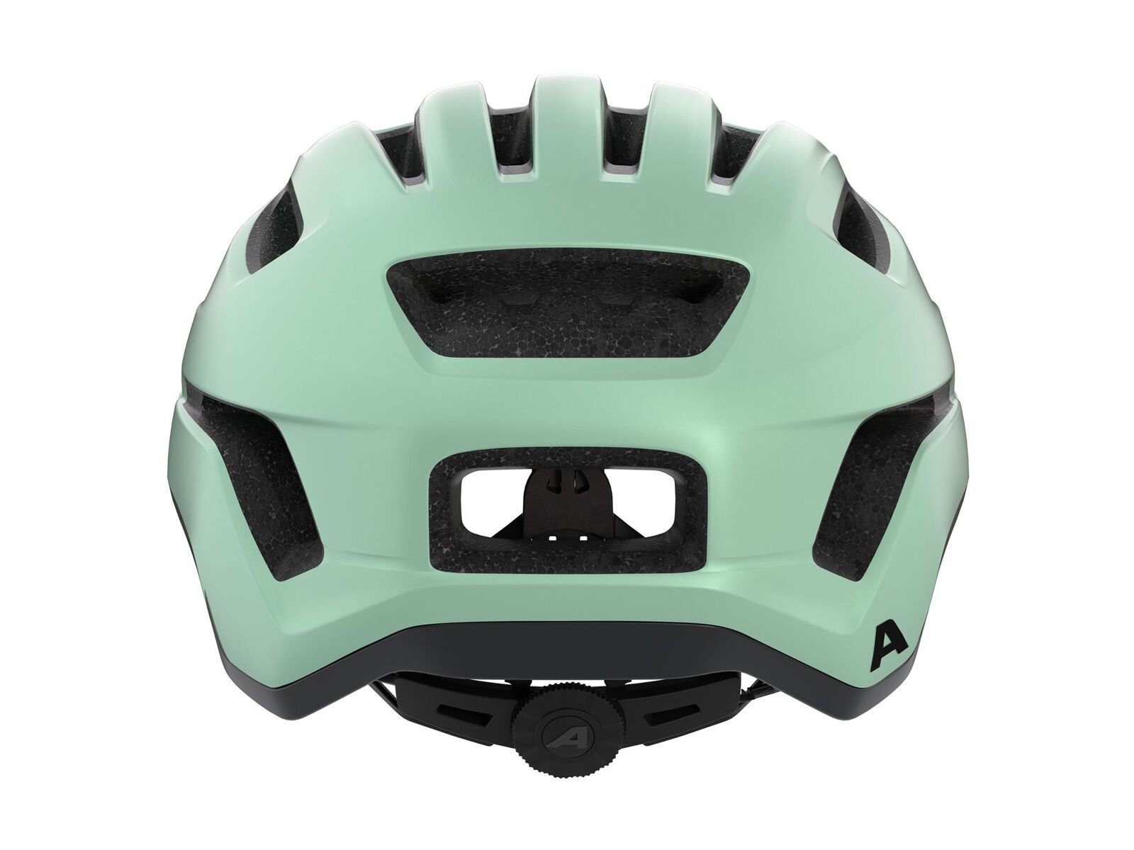 Alpina Paranus, pastel green matt - Bild 4