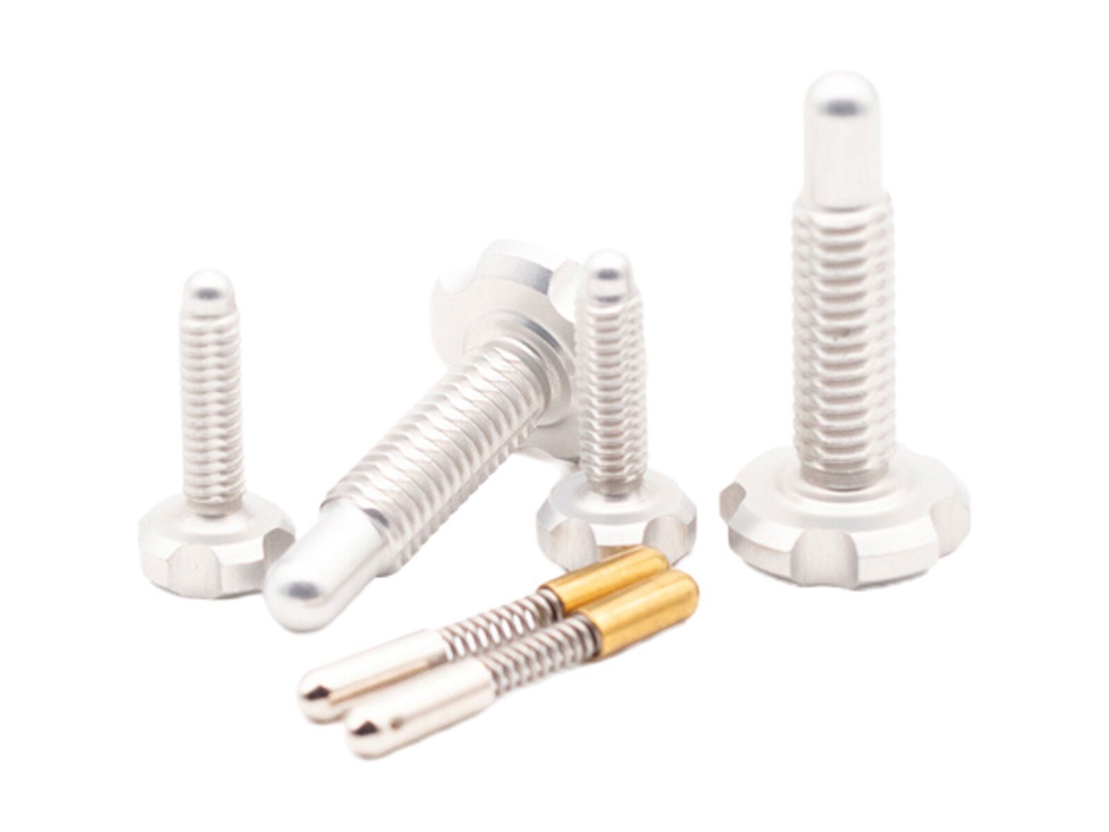 OAK Components RLP Schrauben Set (4 Stck.), raw - Bild 1