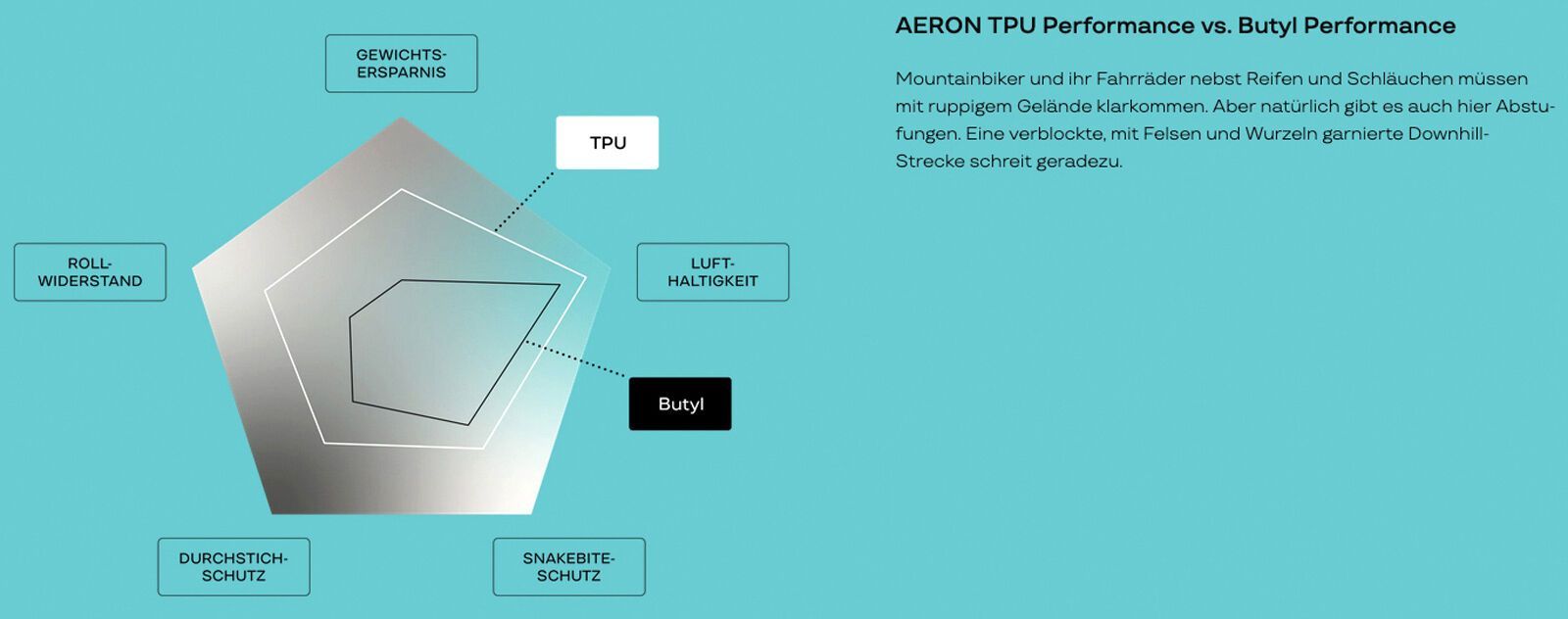 Aeron MTB - ExtraLite Protect / 1.7-2.5 / SV42 / 27.5-29 - Bild 5