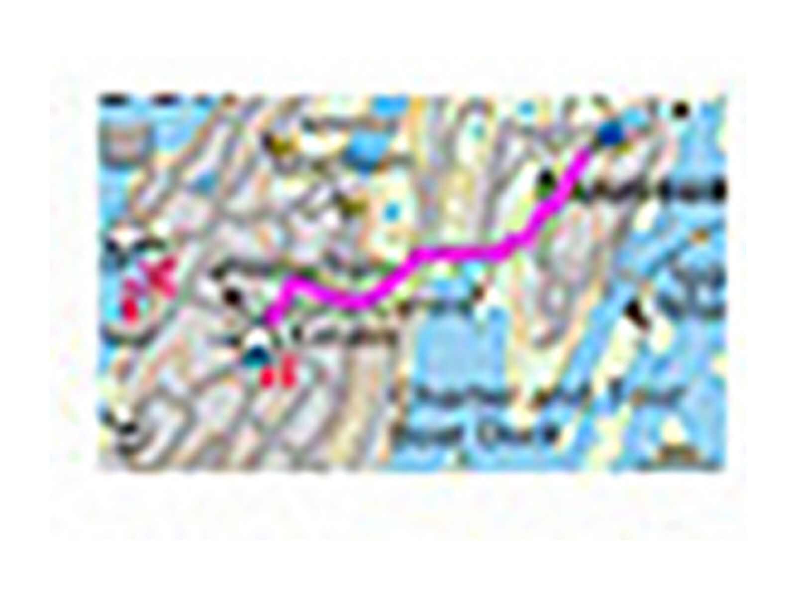 Garmin Topo Grönland (microSD/SD) - Bild 5