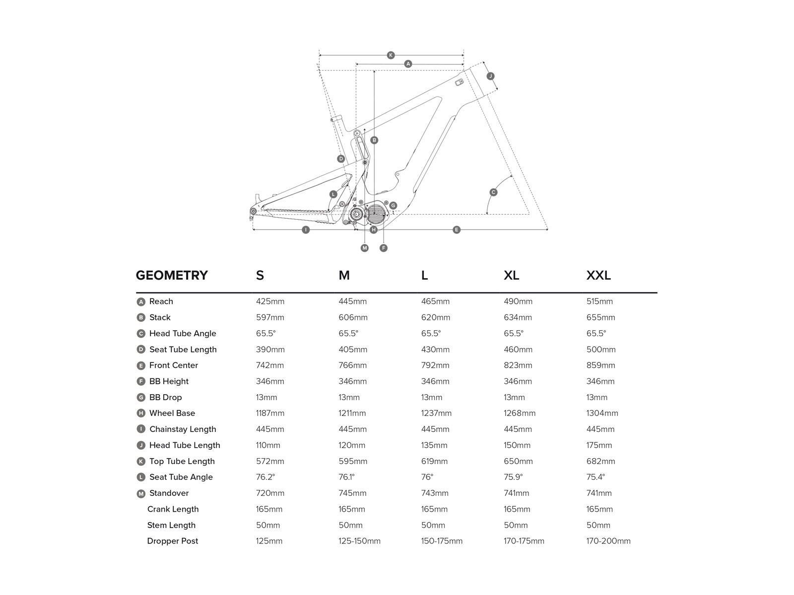Santa Cruz Heckler CC R, blackout and copper - Bild 2