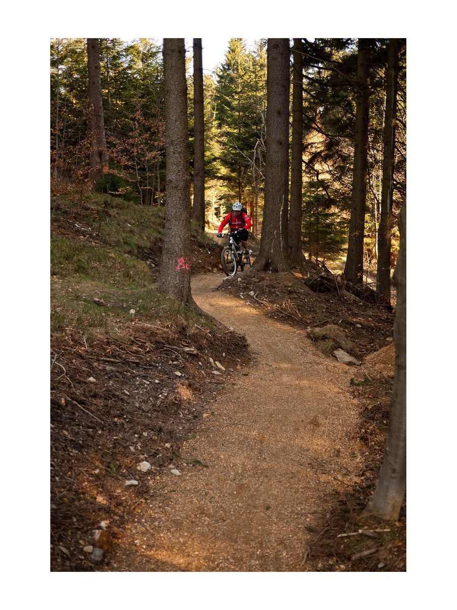 BIKER-BOARDER Tagestour Singltrek pod Smrkem - Bild 2