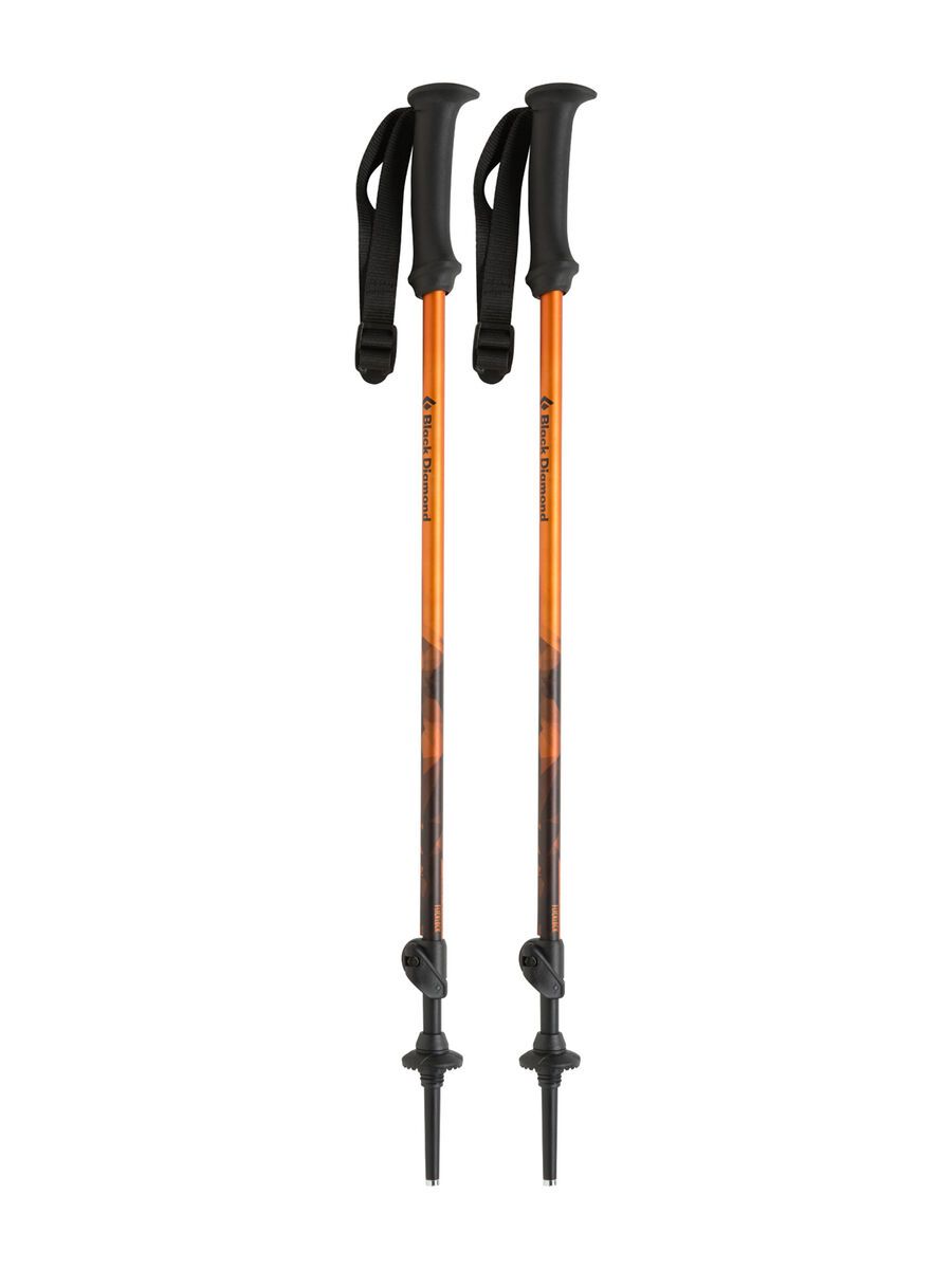 Black Diamond First Strike Trekking Poles - Bild 2