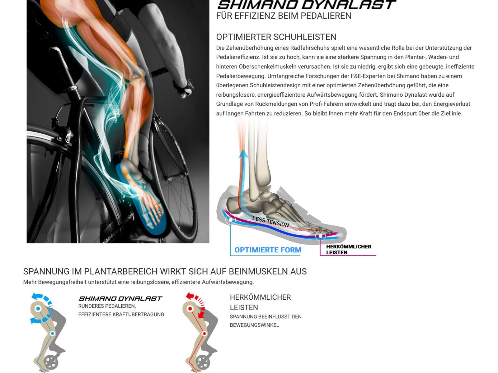 Shimano SH-XC302 XC, white - Bild 9