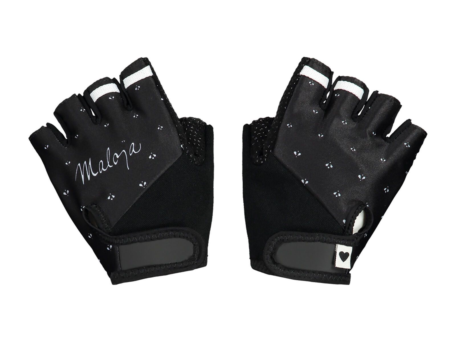 Maloja WeideM., moonless - Bild 1