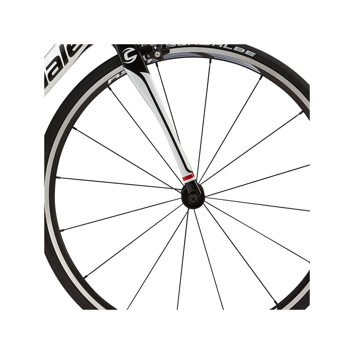 Cannondale Synapse Carbon 105 5, magnesium white with jet black, gloss - Bild 2