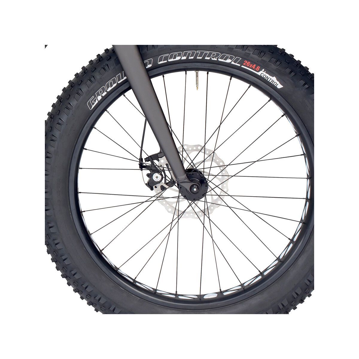 Specialized Fatboy SE, satin warm/charcoal black - Bild 2