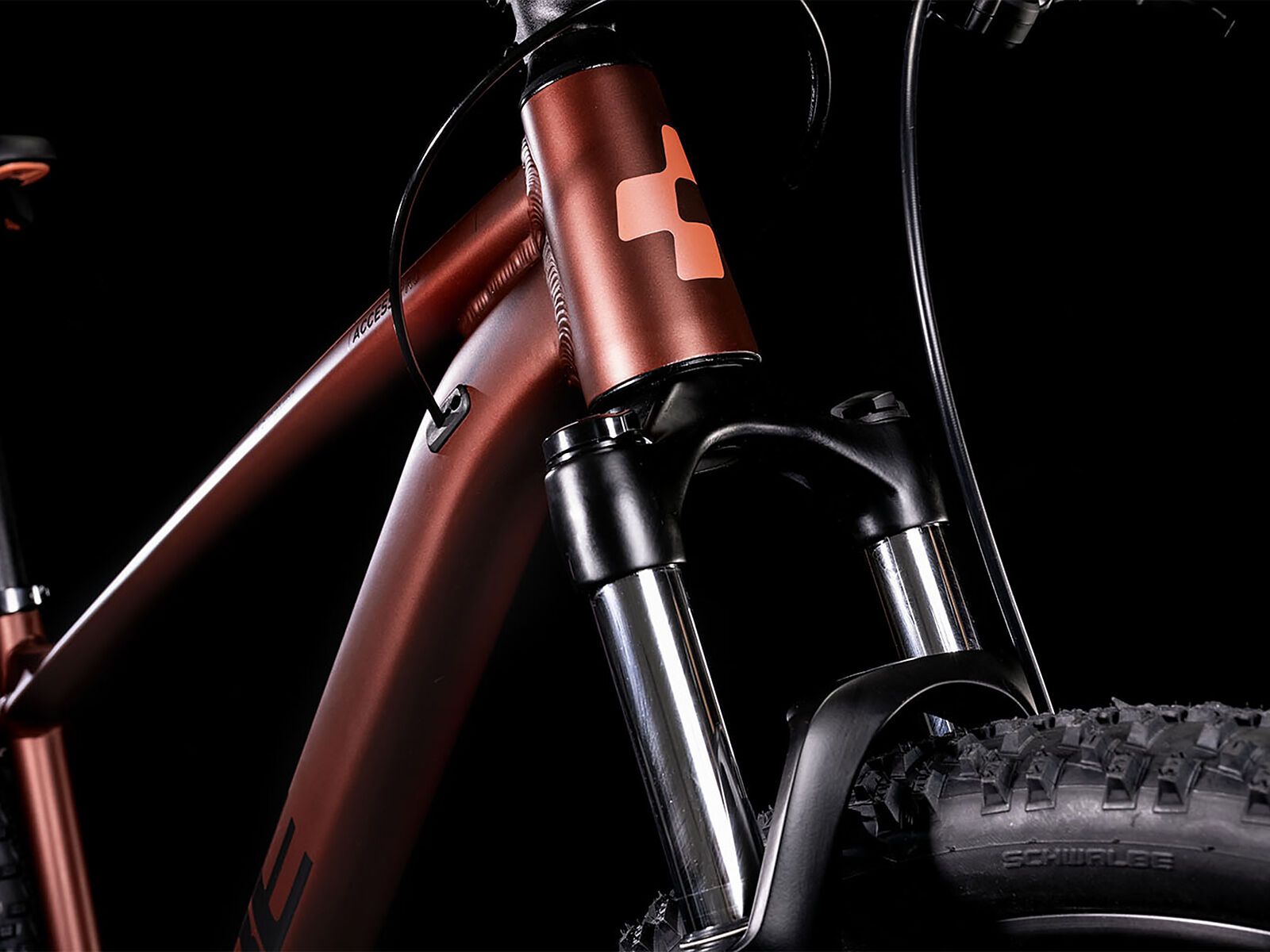 Cube Access WS Pro 29, rubymetal´n´pink - Bild 2