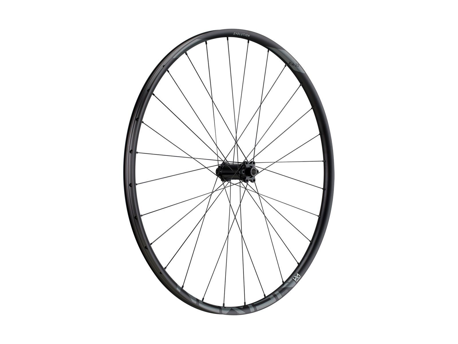 Newmen Evolution SL X.A.25 6-Loch - 29 / 15x110 mm Boost, black / silver hub - Bild 1