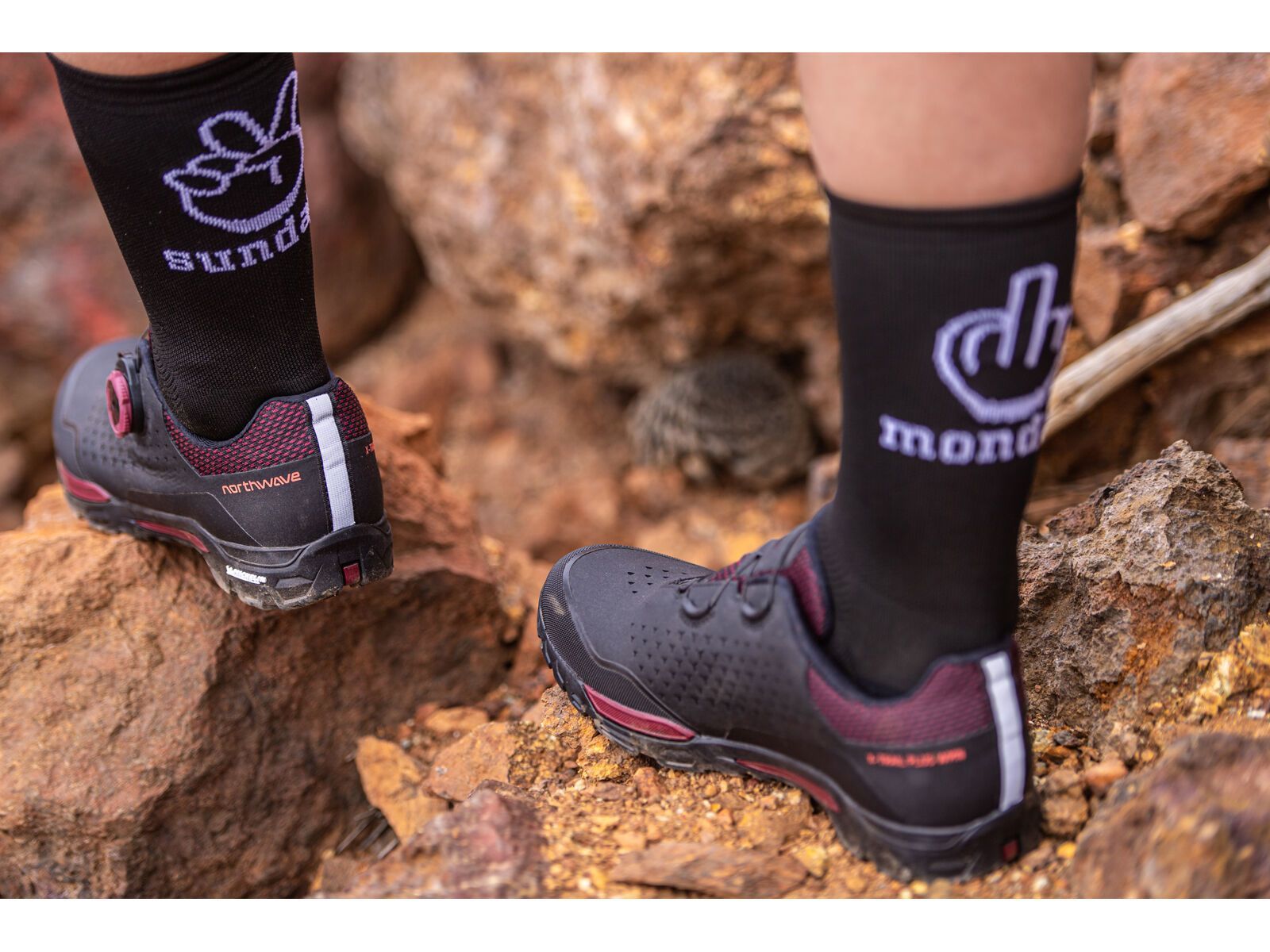 Northwave Sunday Monday Sock, black - Bild 3