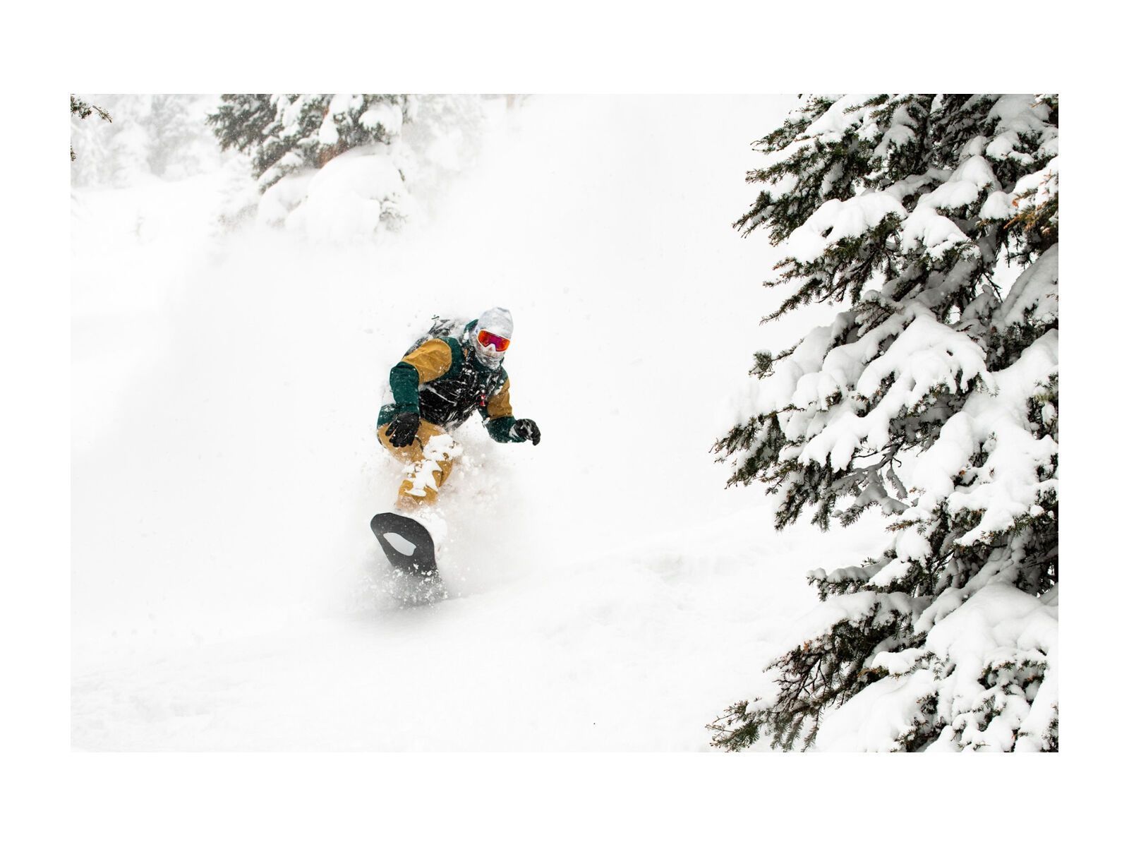 Lib Tech Orca - Bild 6