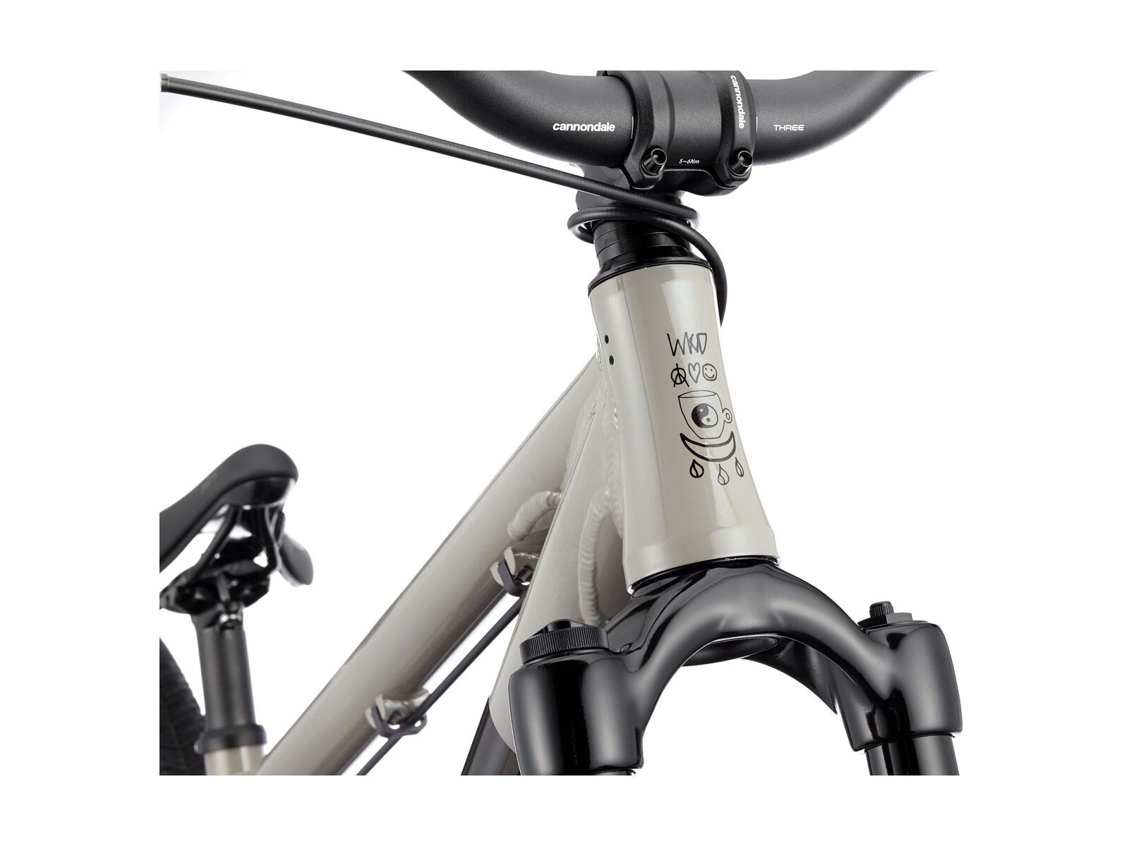 Cannondale Dave, stealth grey - Bild 3