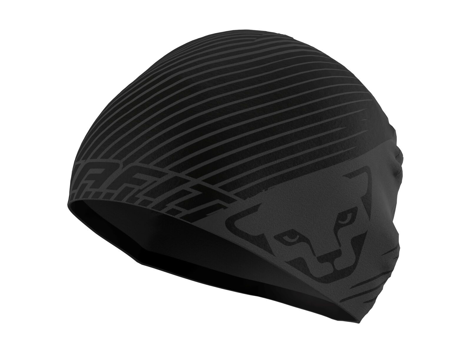 Dynafit Performance 2 Beanie, magnet - Bild 1