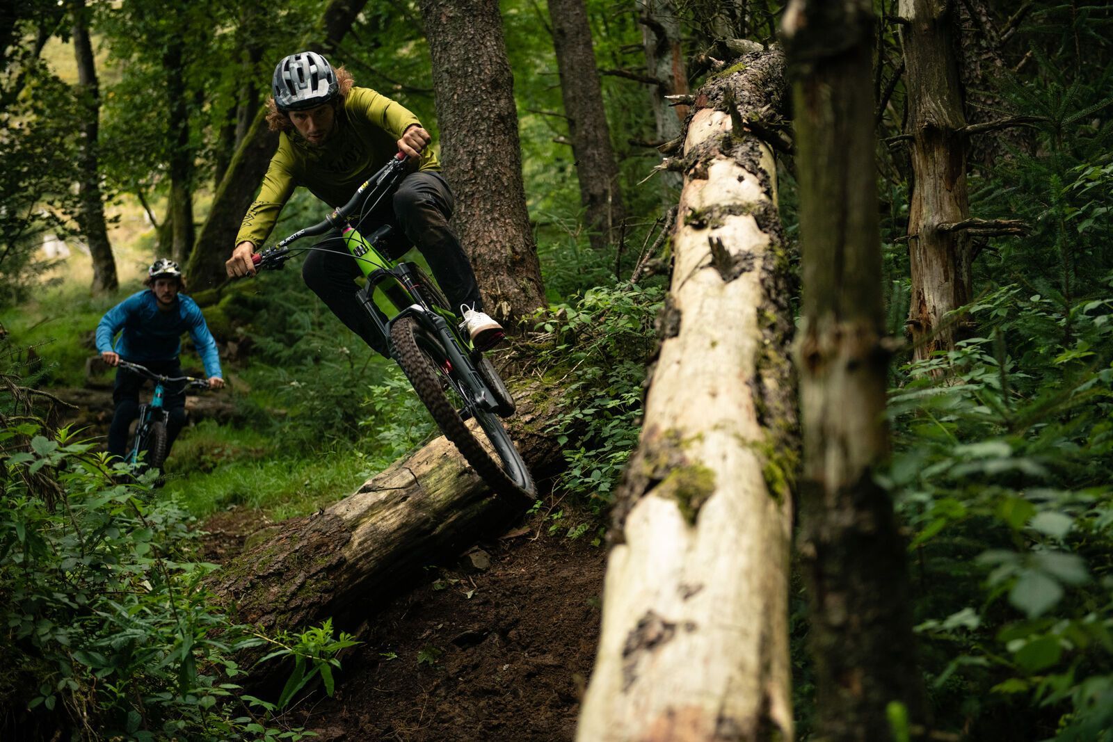 Santa Cruz Nomad CC X01 Coil, oxblood - Bild 6