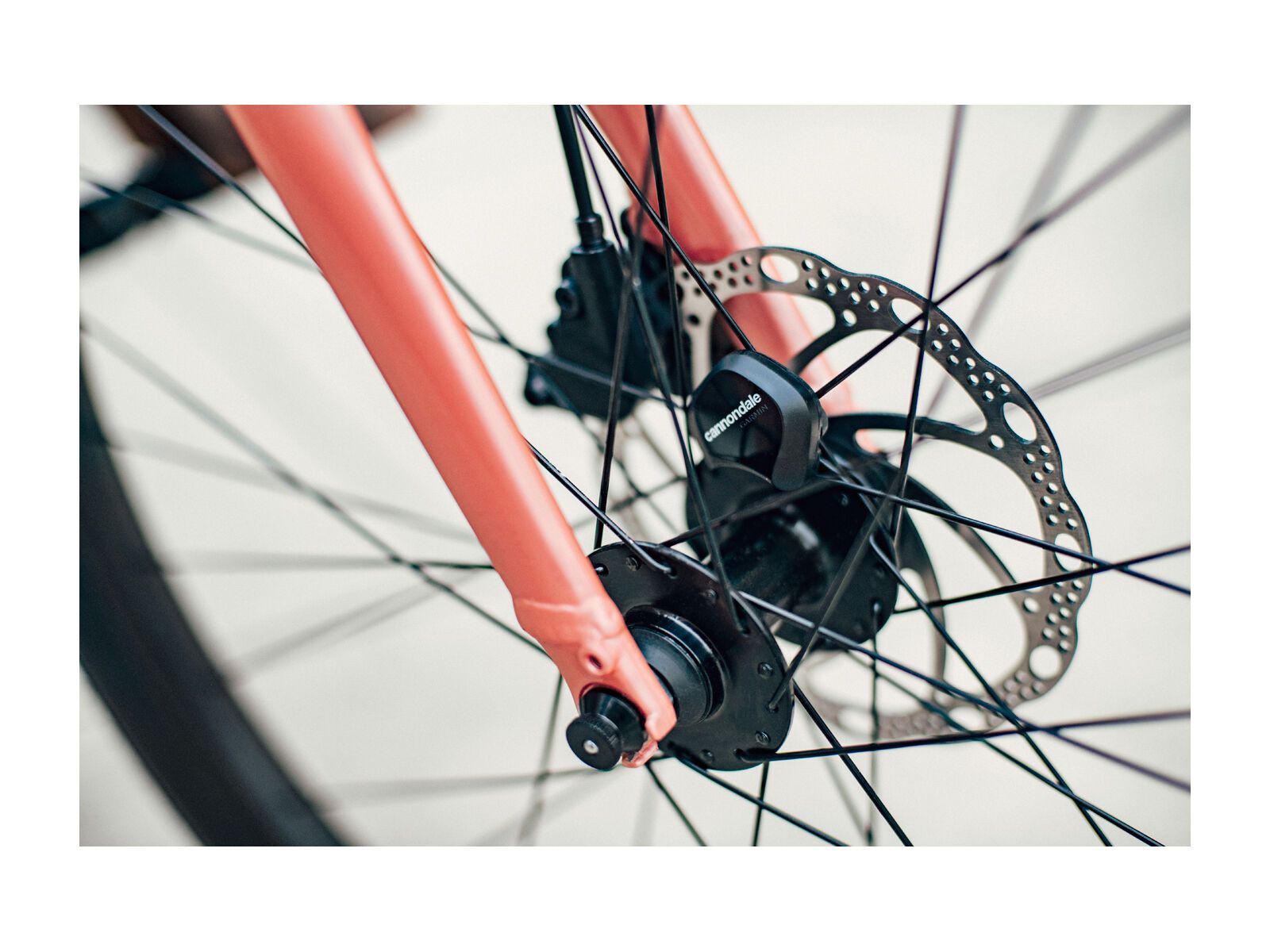 Cannondale Treadwell 2 Remixte, midnight - Bild 8