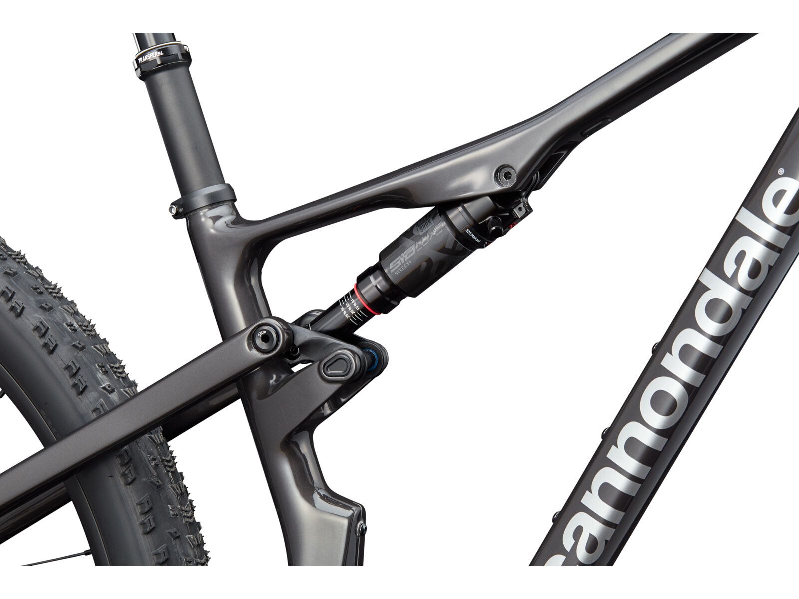 Cannondale Scalpel 2 Lefty, jet black, raw carbon - Bild 5