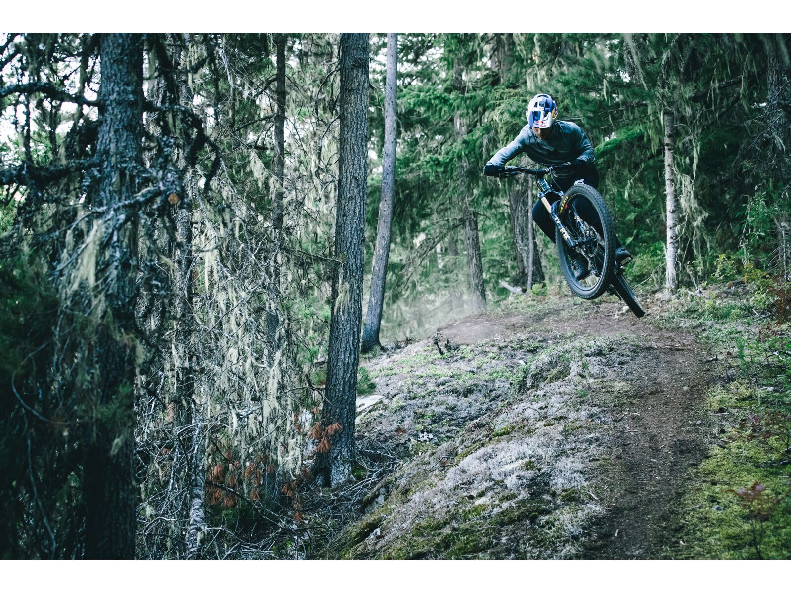 Santa Cruz Vala C / GX AXS / MX, gloss grey - Bild 15