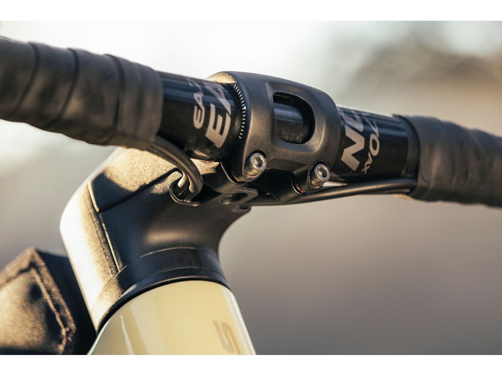 Focus Atlas 8.8, creme white - Bild 16