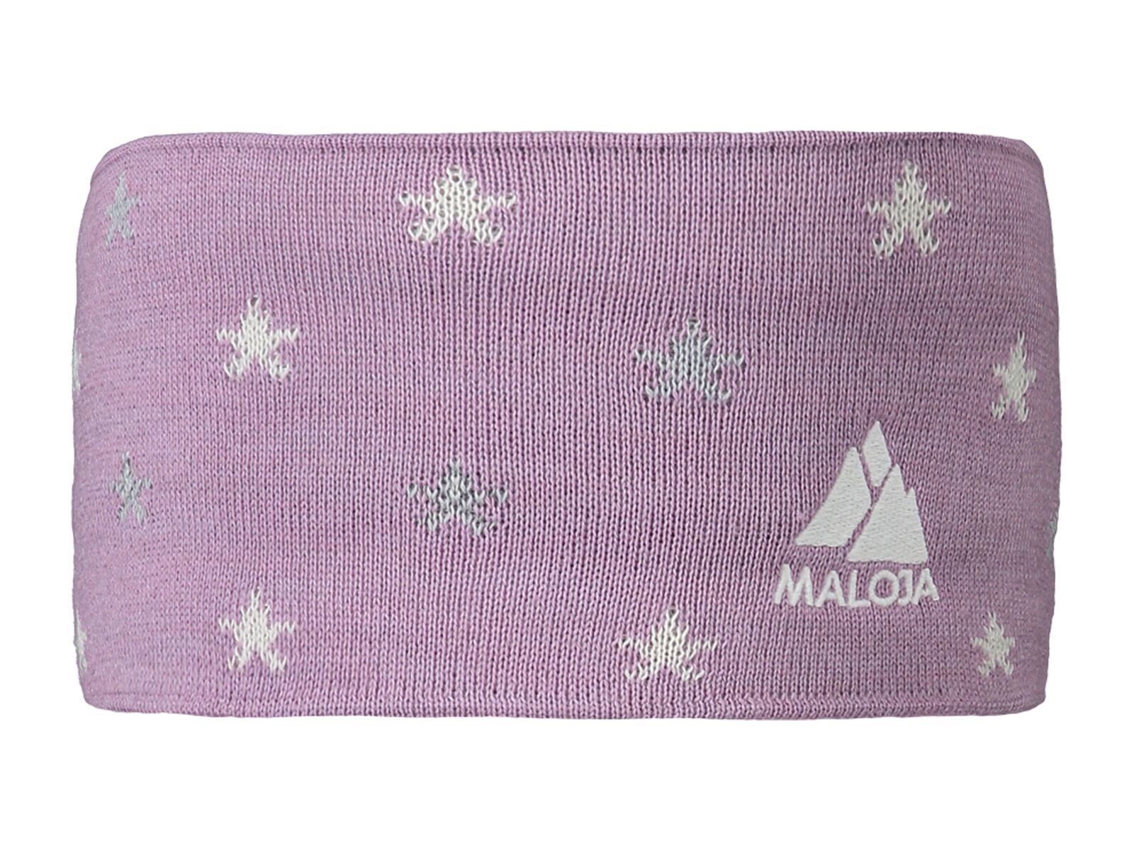 Maloja AllalinM., bellflower - Bild 1