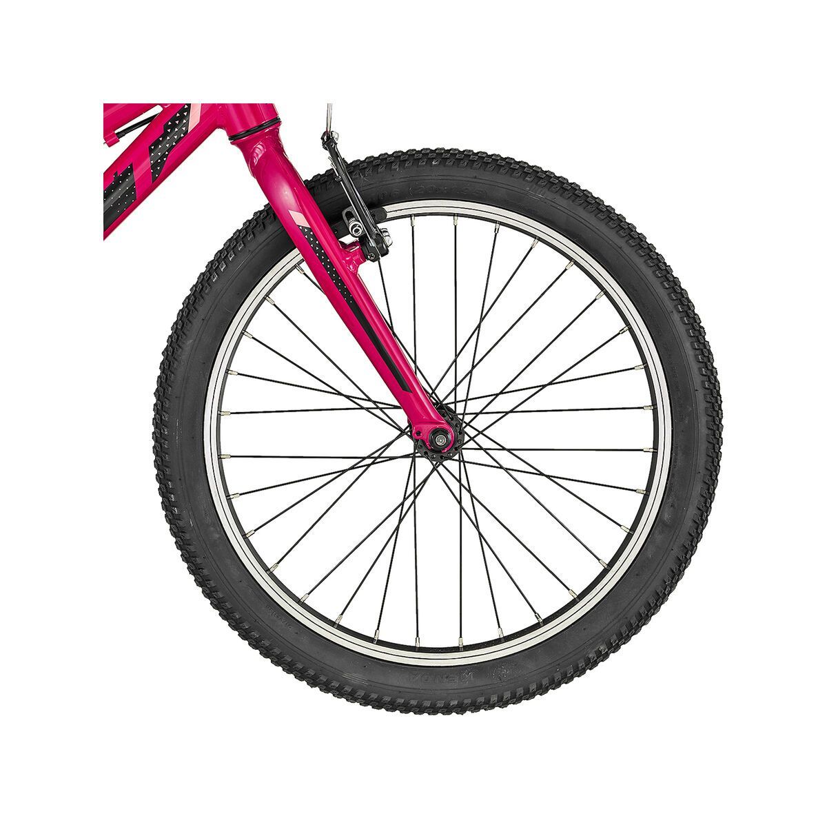 Scott Contessa 20 Rigid Fork - Bild 3