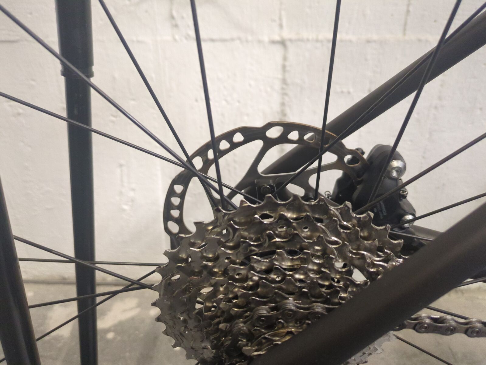 ***2. Wahl*** Specialized Diverge Sport Carbon doppio/gunmetal - Bild 4